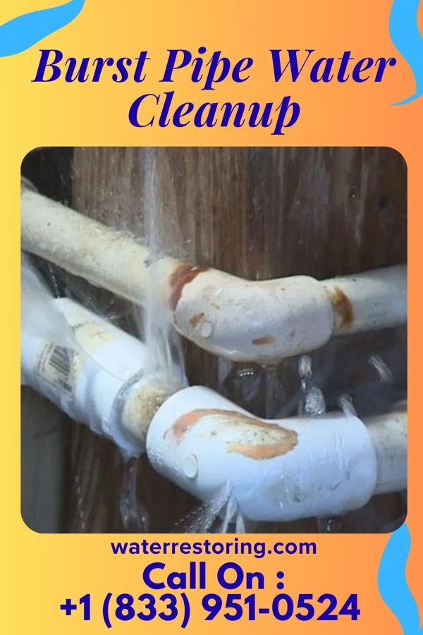 Burst Pipe Water Cleanup in Choteau, MT