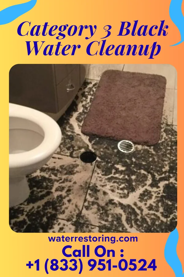 Category 3 Black Water Cleanup in Choteau, MT