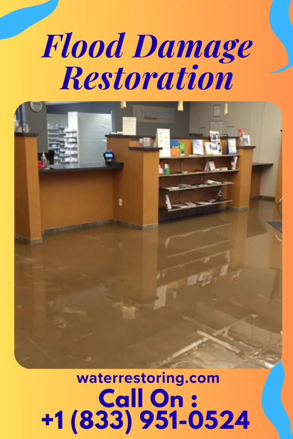 Flood Damage Restoration in Choteau, MT