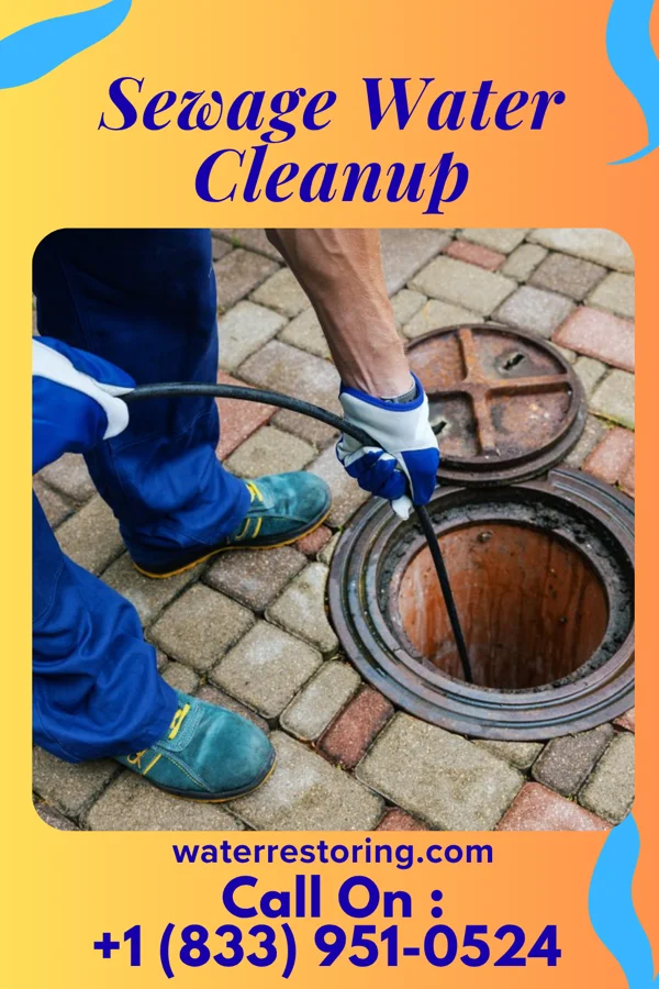 Sewage Water Cleanup in Choteau, MT